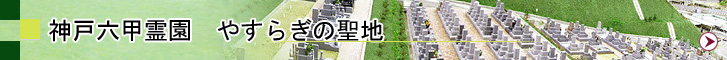 �_�˘Z�b�쉀